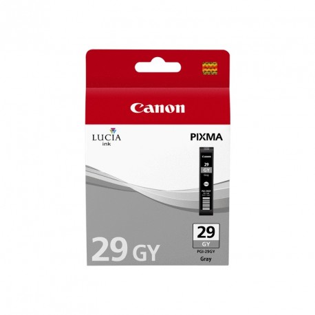 canon-pgi-29-gra-original-patron-1.jpg